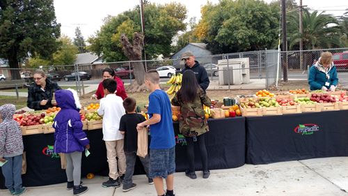 2nd picture of Students selecting fruit at Farmer's Market