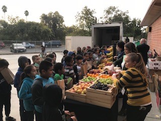 Student selecting fruit at Farmer's Market